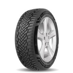 STARMAXX 205/55R16 91H POLARMAXX