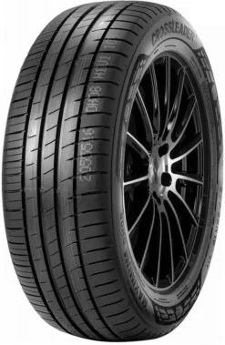 Double Star 205/55R16 91V DH08